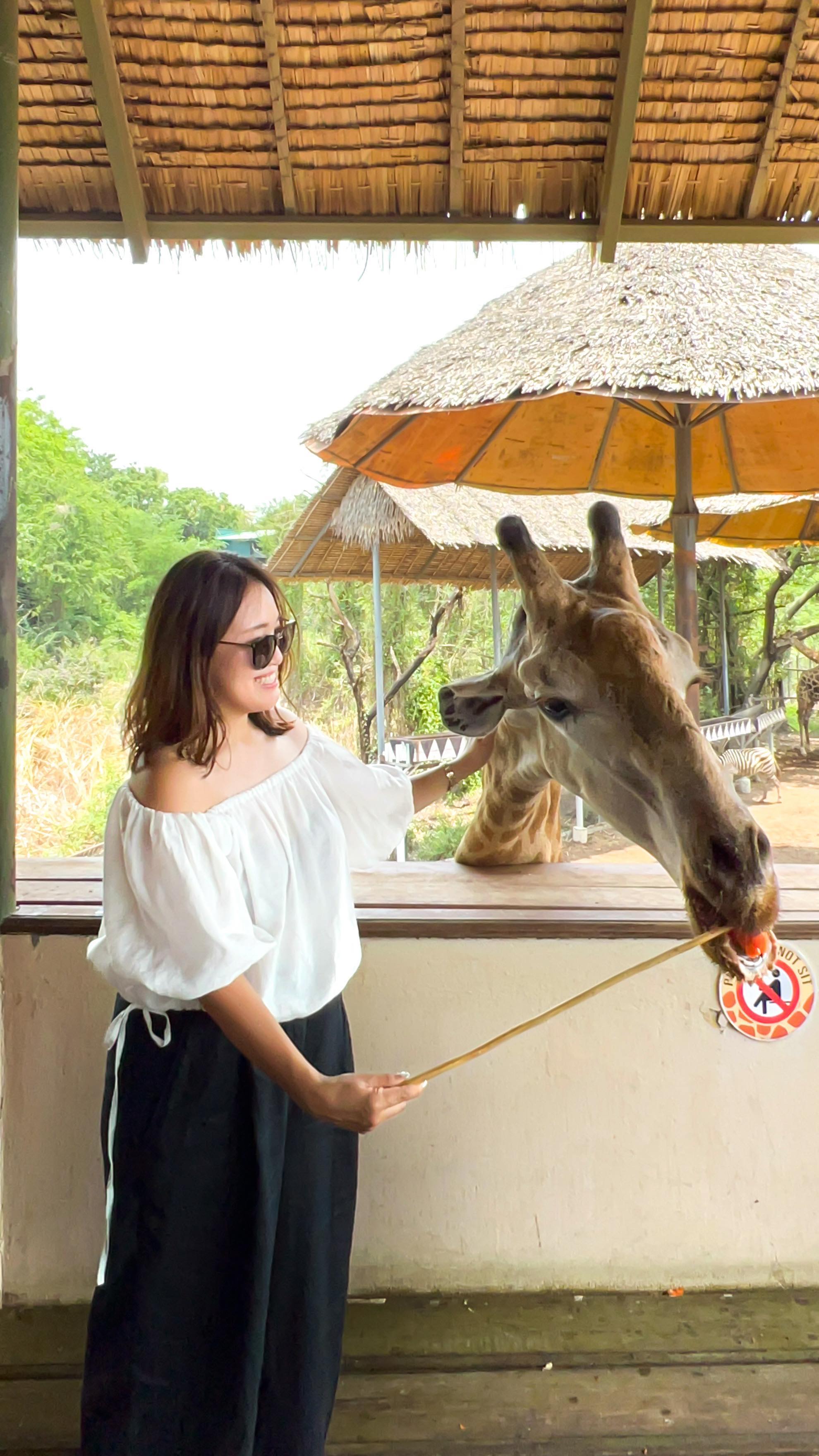 ⁡
⁡
🦒🦒💛
Giraffe feeding in Bangkok Safari World🚎
⁡
⁡
タイバンコクでいつかは行きたいと思っていた
サファリワールドでのキリンの餌付け。
いろいろ言いたいことはあるけれど…
⁡
とりあえず頭上からのよだれに注意🫧🫧
⁡
⁡
__🎥video credit________________
⁡
📍 Safari World ,🇹🇭
🗓 April, 2023
⁡
for more Bangkok photos
▶︎ #michelletraveldiary_Bangkok
⁡
_______________________________
⁡
⁡
⁡
#thailand#bangkok#safariworld#giraffe#giraffefeeding#タイ旅行#タイ#amazingthailand #tabimuse#lovetabimama#バンコク旅行#サファリワールドバンコク #サファリワールド#きりん#餌付け#餌やり体験 #🦒